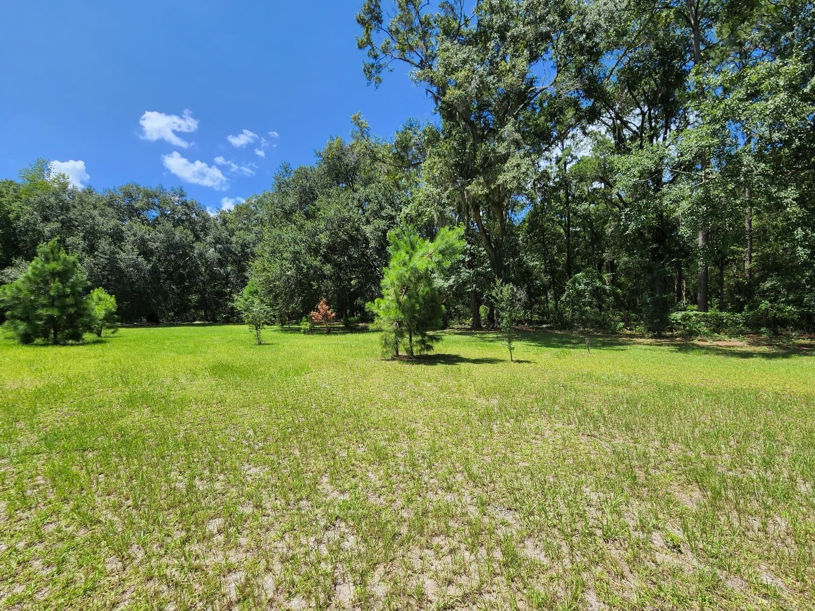 285 Elm Pinetta, FL 32350 - Photo 9 of 35