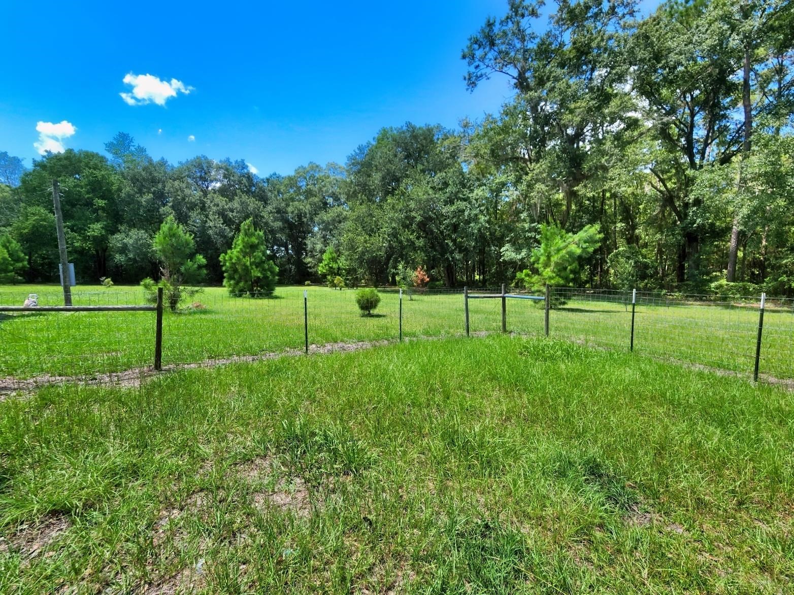 285 Elm Pinetta, FL 32350 - Photo 10 of 35