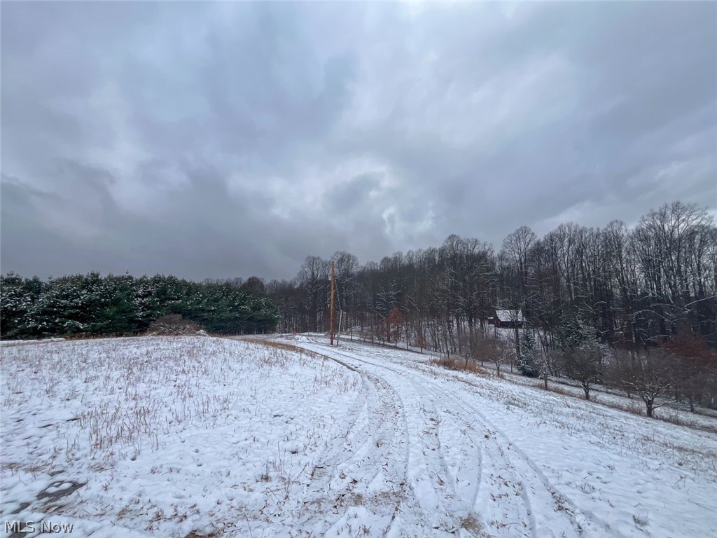 87085 Crall Road Scio, OH 43988 - Photo 10 of 30