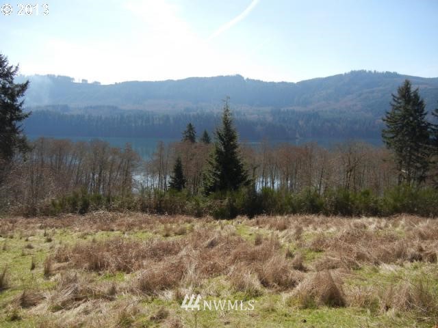 328 Friday Road Ariel, WA 98603 - Photo 3 of 10 Gallery Image 3
