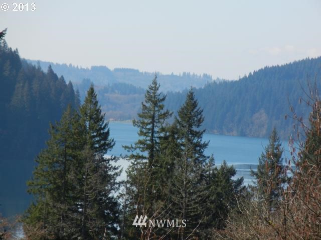 328 Friday Road Ariel, WA 98603 - Photo 5 of 10 Gallery Image 5
