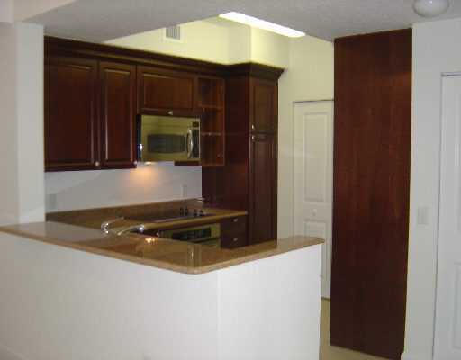 1 Renaissance Way, Unit 218 Boynton Beach, FL 33426 - Photo 2 of 22 Kitchen