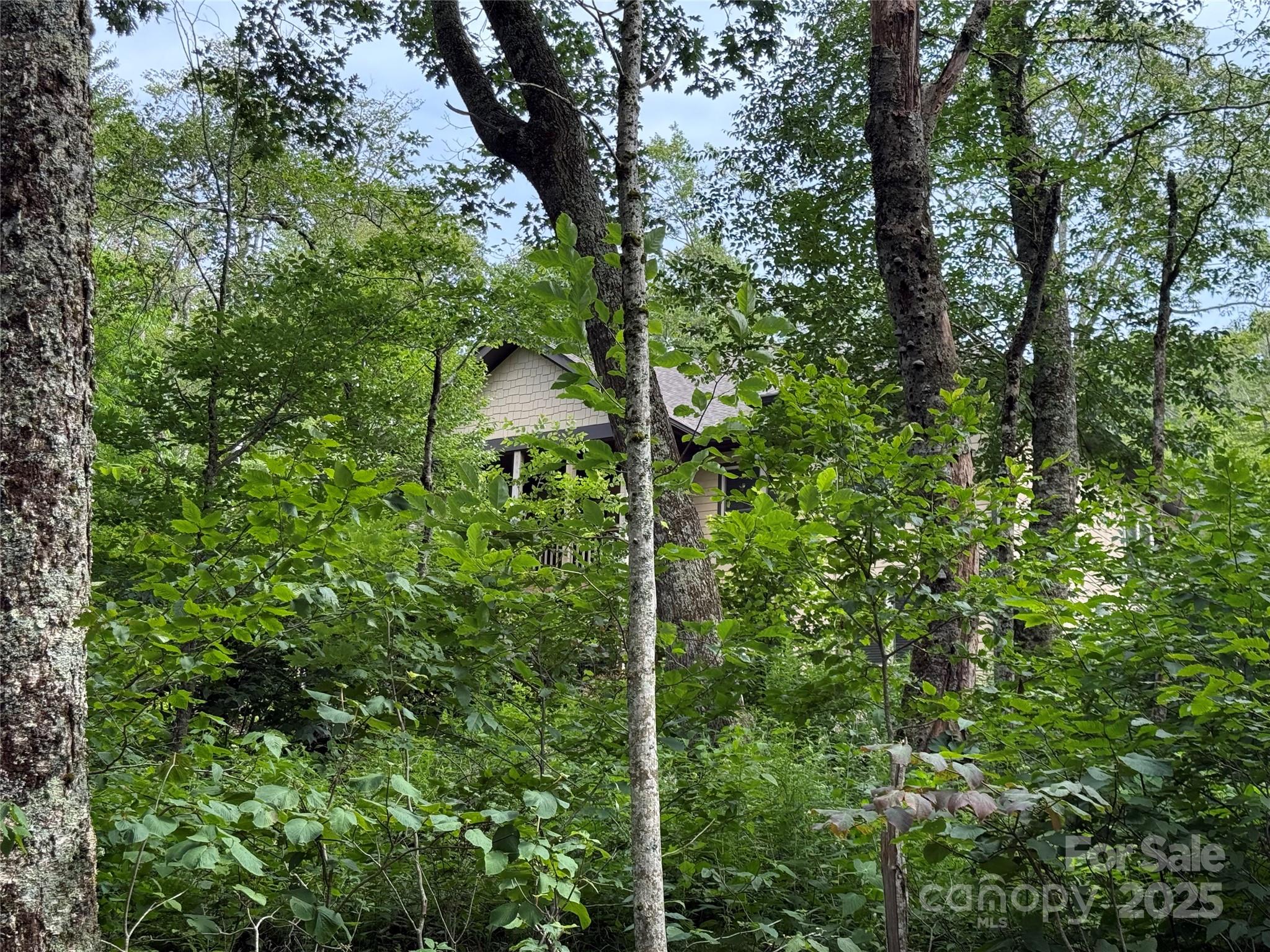 167 Rough Ridge Road Sugar Mountain, NC 28604 - Photo 40 of 41 Gallery Image 40