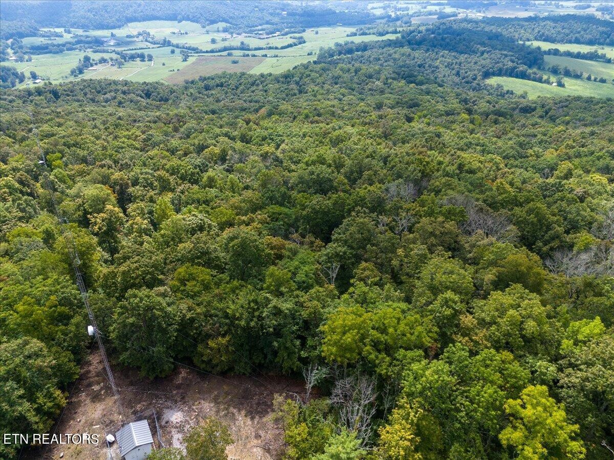 0 Fire Tower 23.2 Ac Road Sparta, TN 38583 - Photo 6 of 18 Gallery Image 6