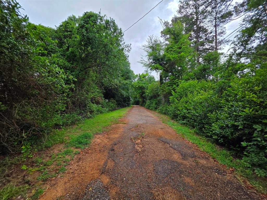 4514 West Loop 281 Longview, TX 75604 - Photo 14 of 36 Paved pathway bordered by extensive natural greenery and mature trees