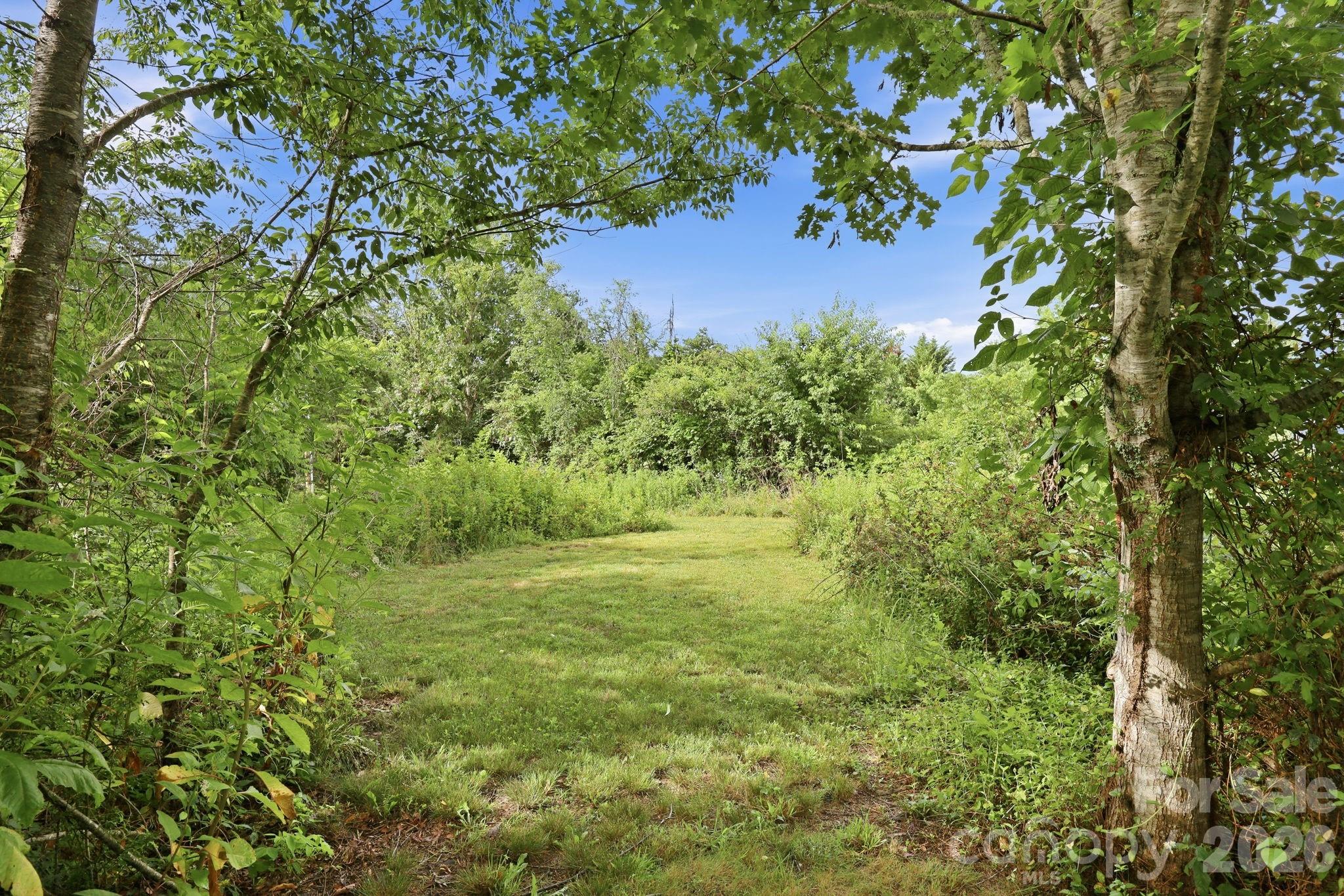 1091 Windswept Ridge Road Marshall, NC 28753 - Photo 42 of 48
