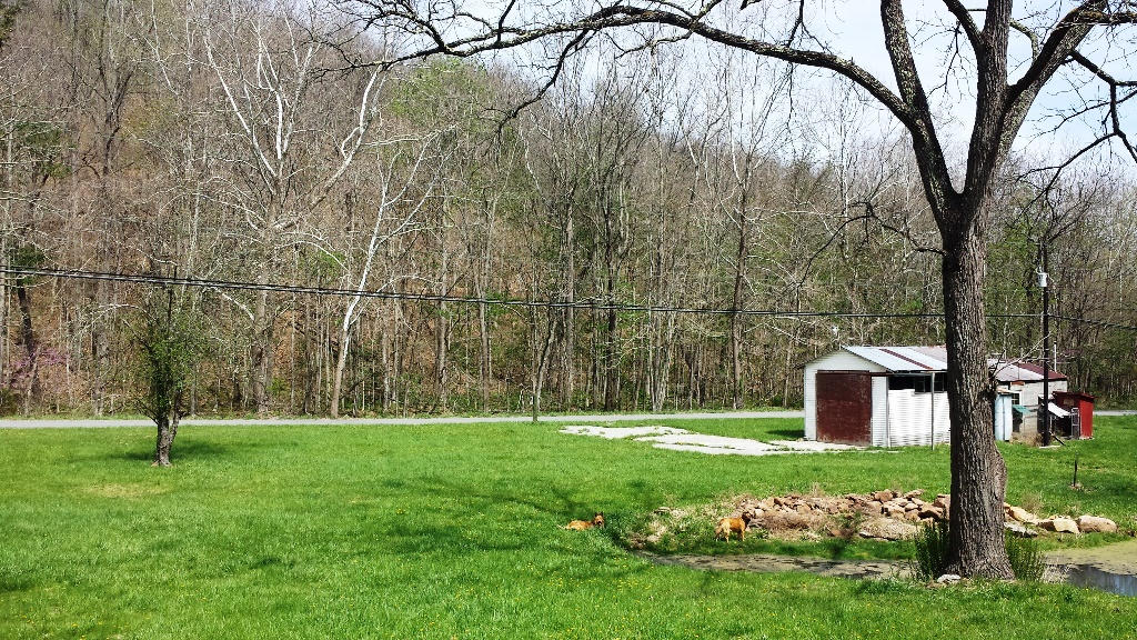 Clayton Road Alderson, WV 24910 - Photo 34 of 43 Gallery Image 34