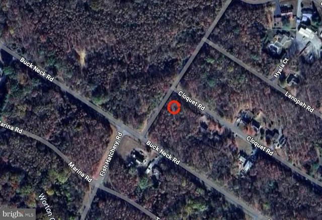 a city view with tall trees