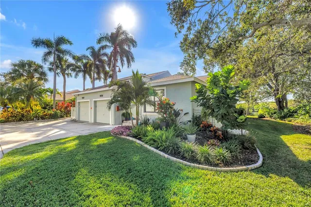 a view of a backyard with plants and palm trees