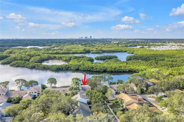 a view of a lake with a city