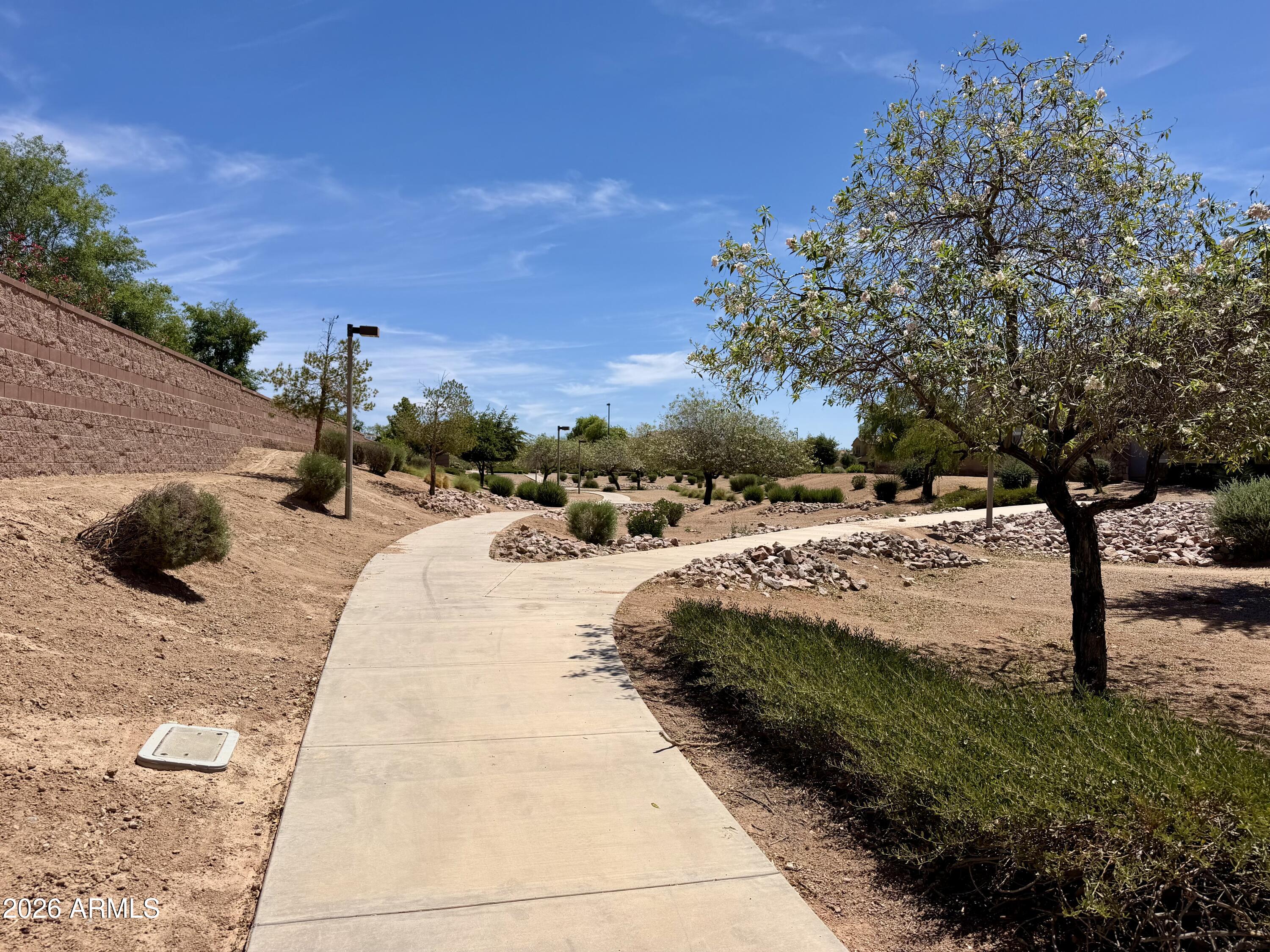 6243 South Rochester Drive Gilbert, AZ 85298 - Photo 51 of 55