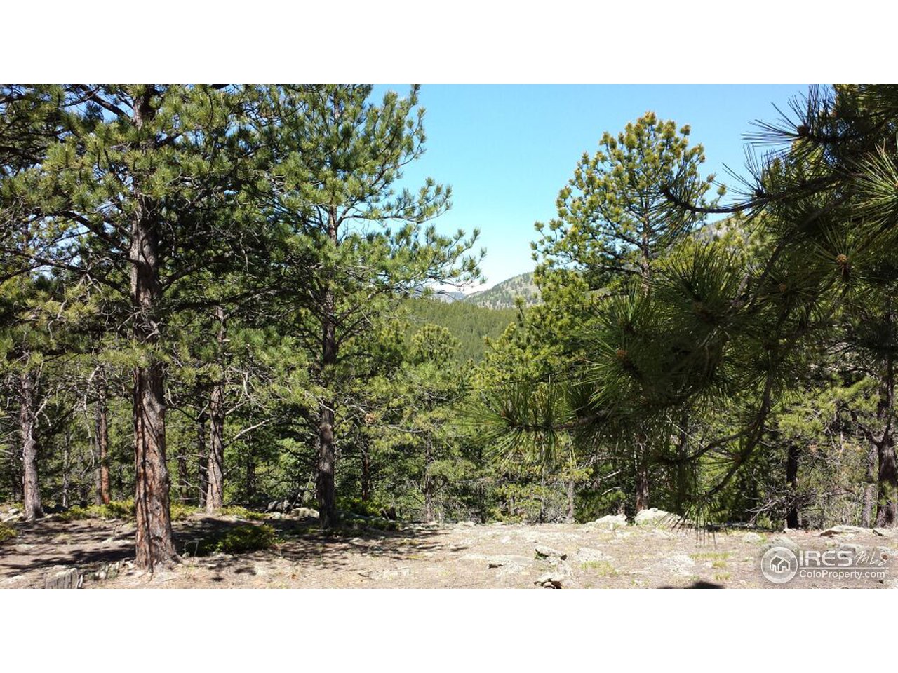 156 Evergreen Road Black Hawk, CO 80422 - Photo 1 of 13 Gallery Image 1