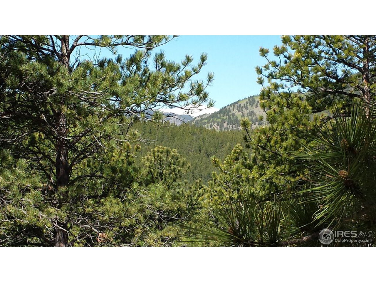 156 Evergreen Road Black Hawk, CO 80422 - Photo 2 of 13 Gallery Image 2