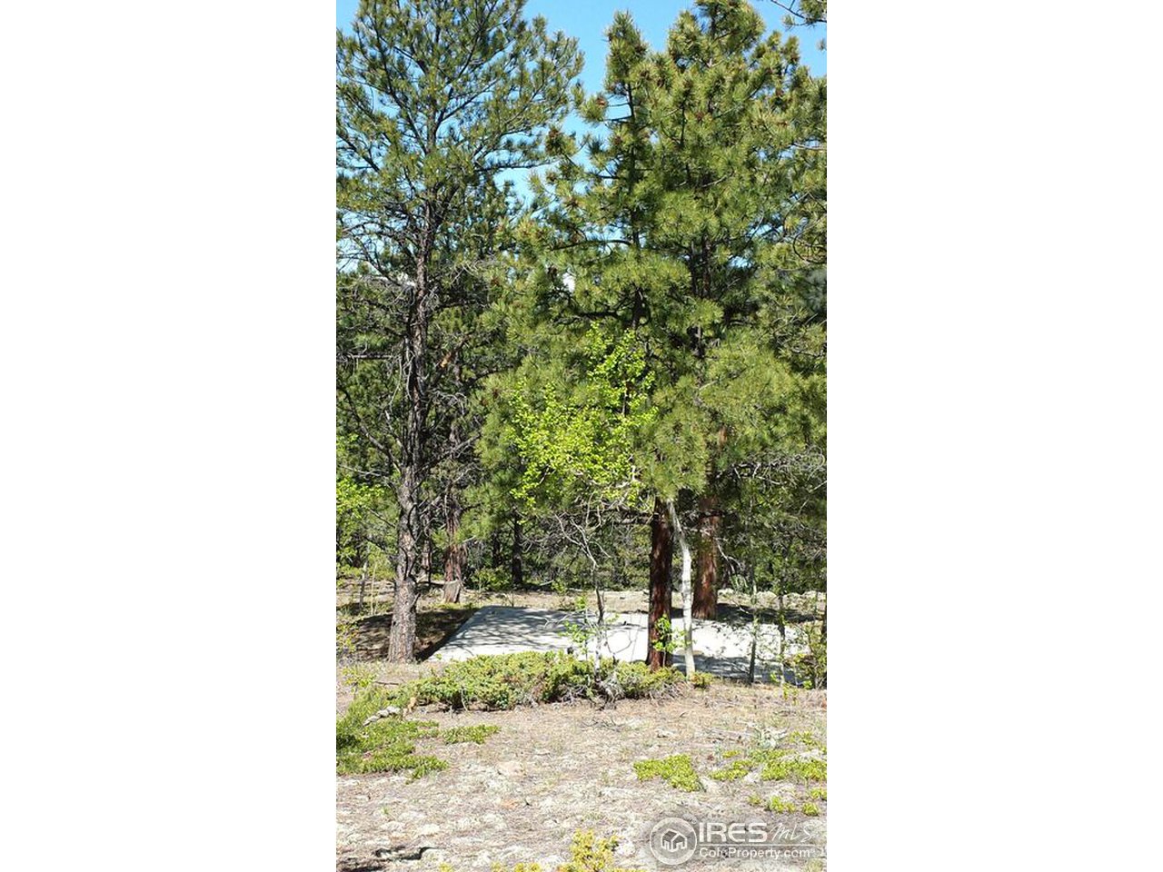 156 Evergreen Road Black Hawk, CO 80422 - Photo 3 of 13 Gallery Image 3