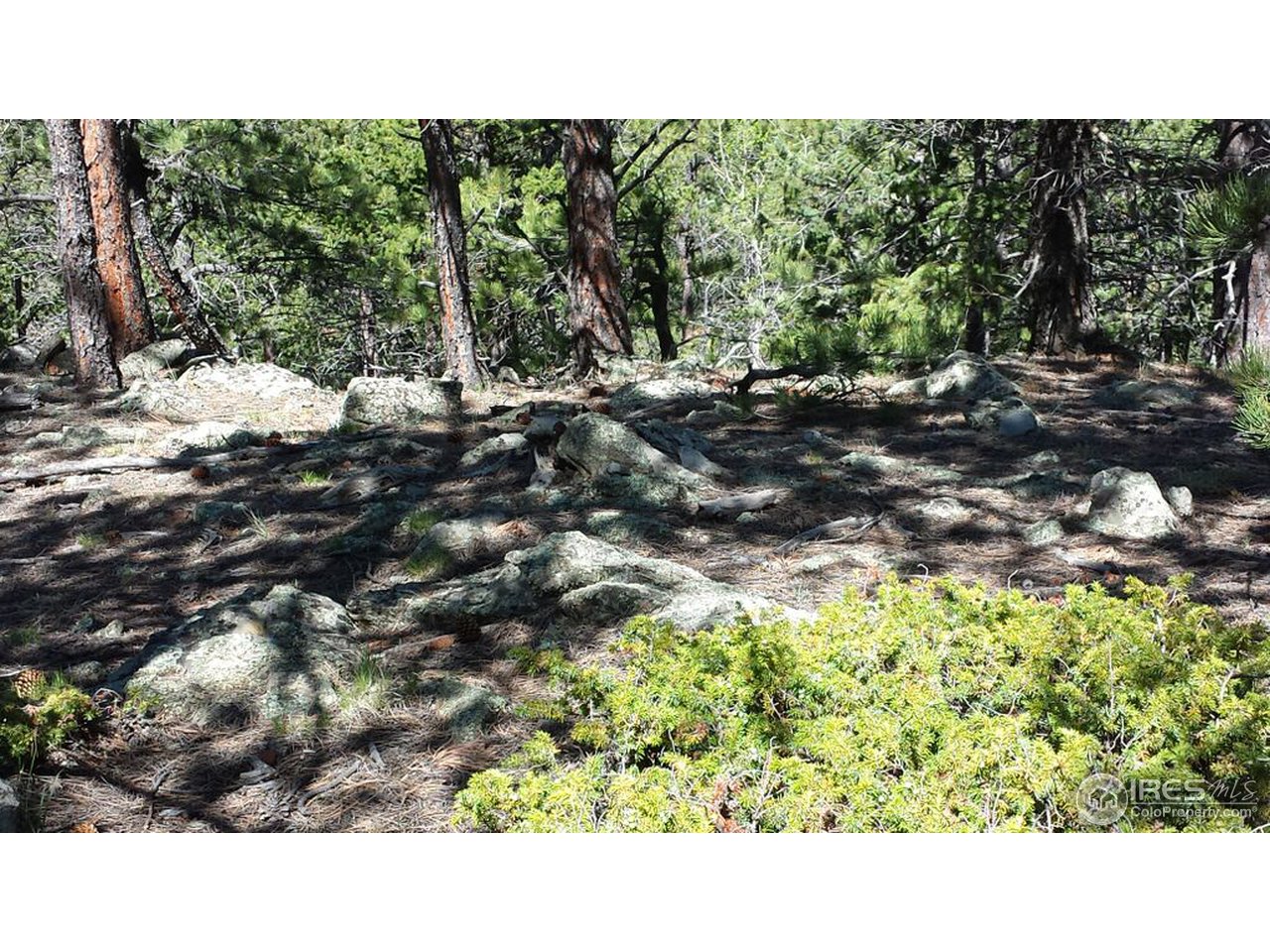 156 Evergreen Road Black Hawk, CO 80422 - Photo 4 of 13 Gallery Image 4