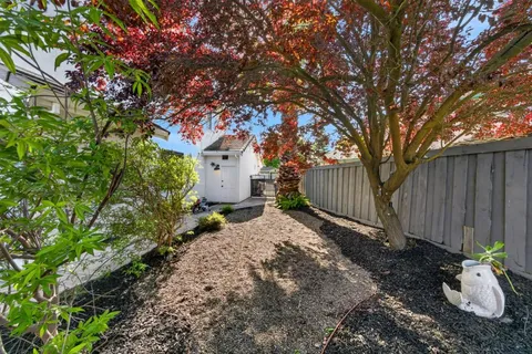 a view of a backyard with tree