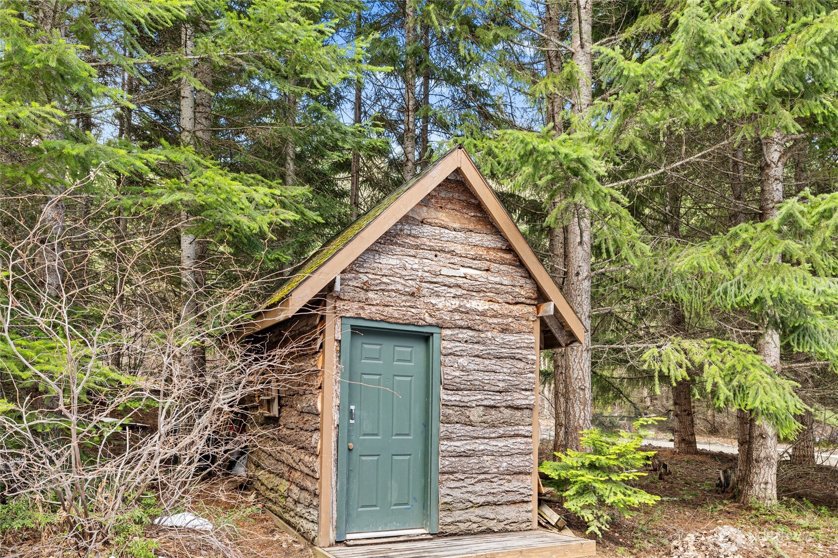 1175 Fs 4517 Road Cle Elum, WA 98922 - Photo 36 of 36