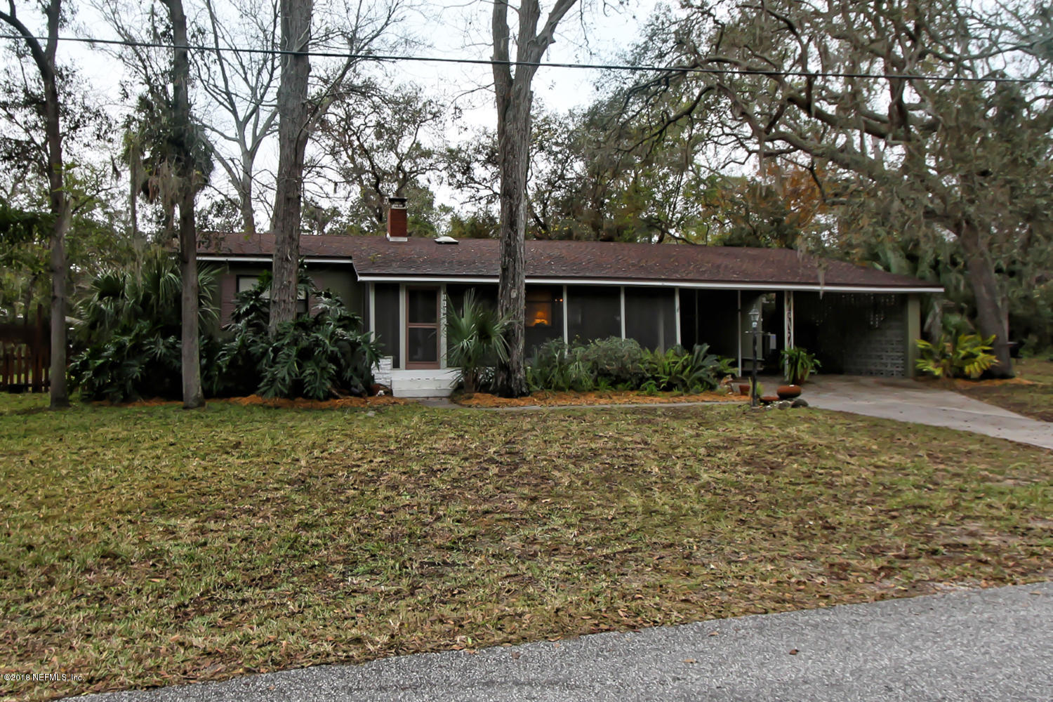 162 Nautilus Road St. Augustine, FL 32086 - Photo 8 of 25 Beautiful trees