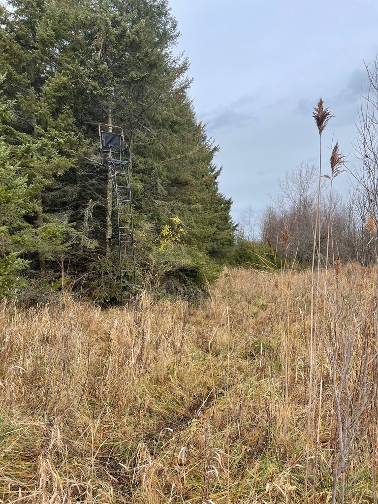 Tbd West Town Line Road Sturgeon Bay, WI 54235 - Photo 6 of 6 Gallery Image 6