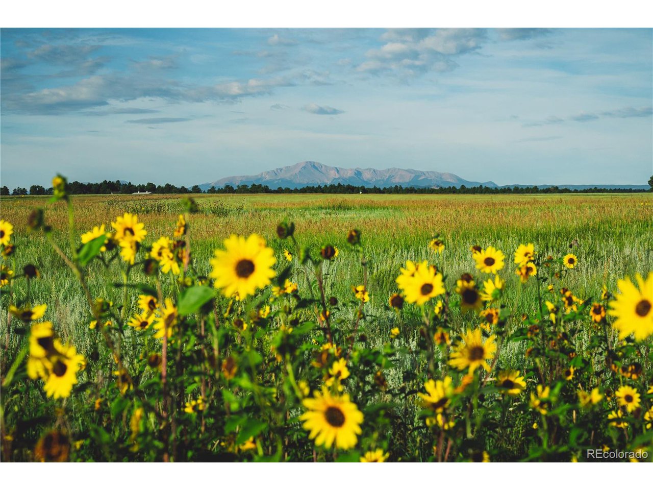 0 Big Sky Trail Elbert, CO 80106 - Photo 13 of 30 a view of a lake