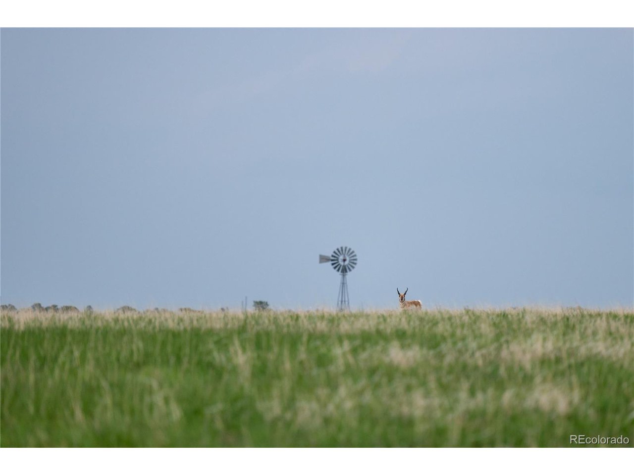 0 Big Sky Trail Elbert, CO 80106 - Photo 14 of 30