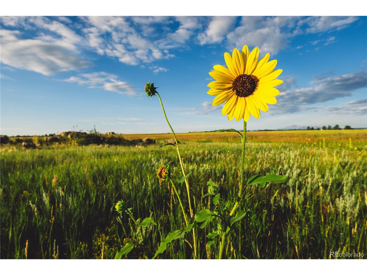 0 Big Sky Trail Elbert, CO 80106 - Photo 16 of 30 a view of a lake