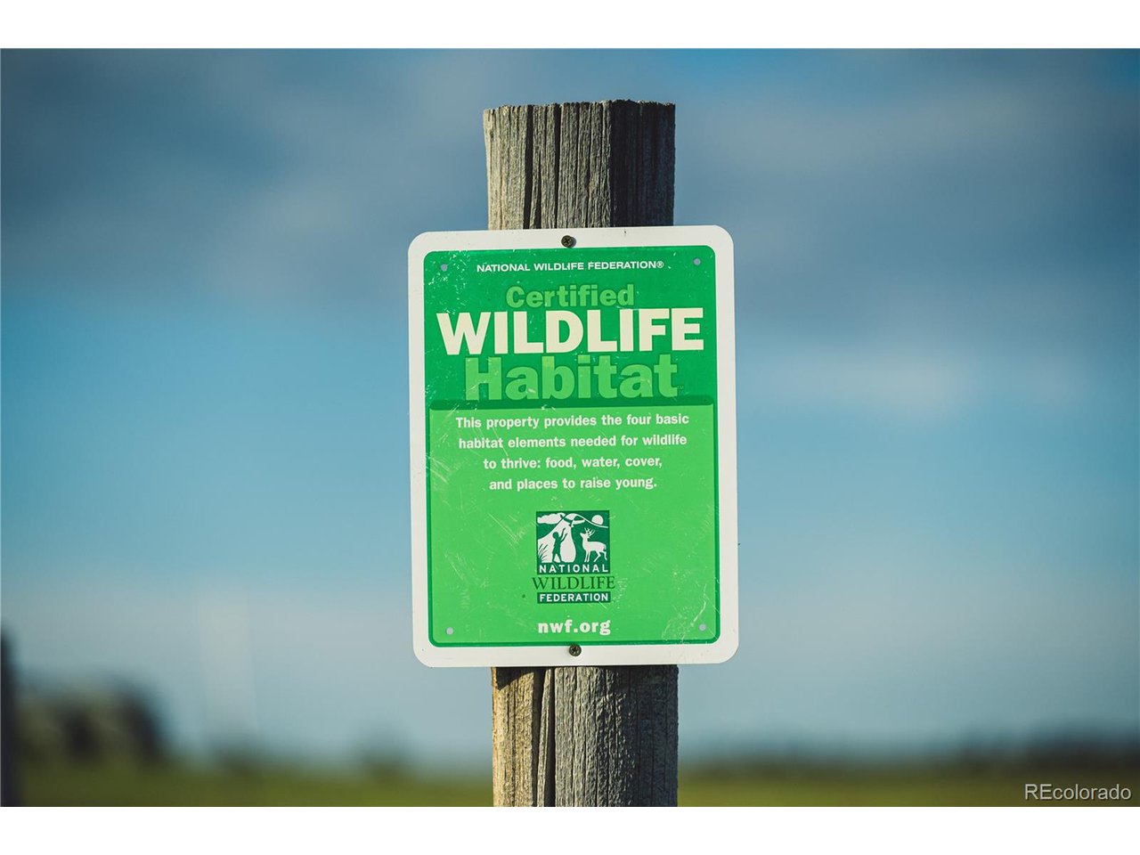 0 Big Sky Trail Elbert, CO 80106 - Photo 17 of 30