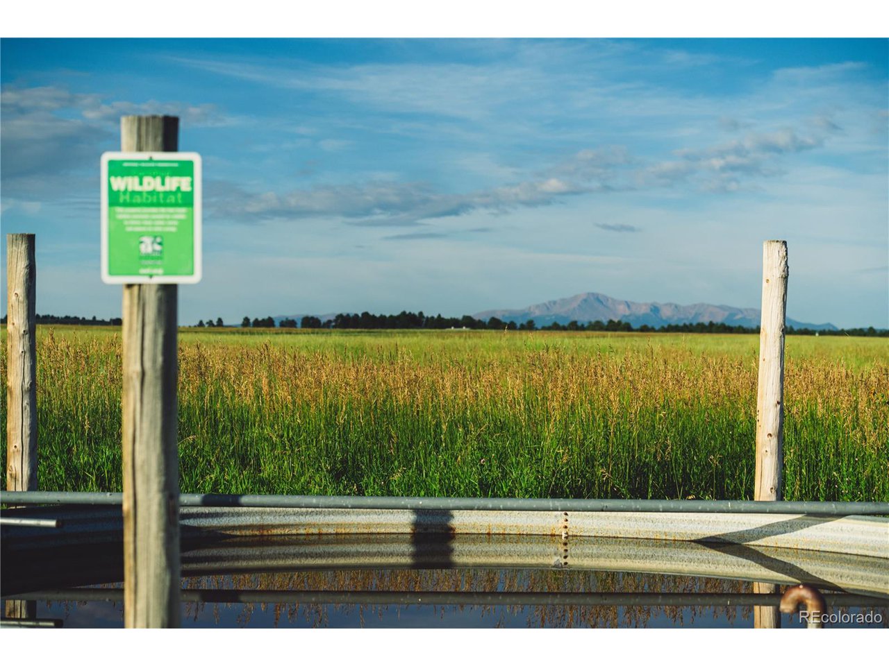 0 Big Sky Trail Elbert, CO 80106 - Photo 18 of 30 a view of a city street from a yard