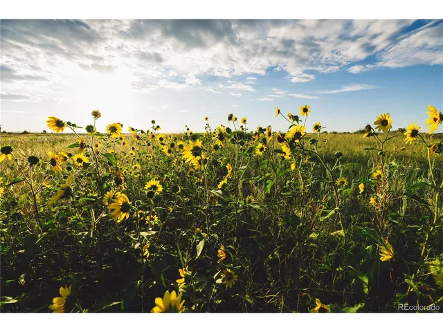$729,999 | 0 Big Sky Trail, Elbert, CO 80106