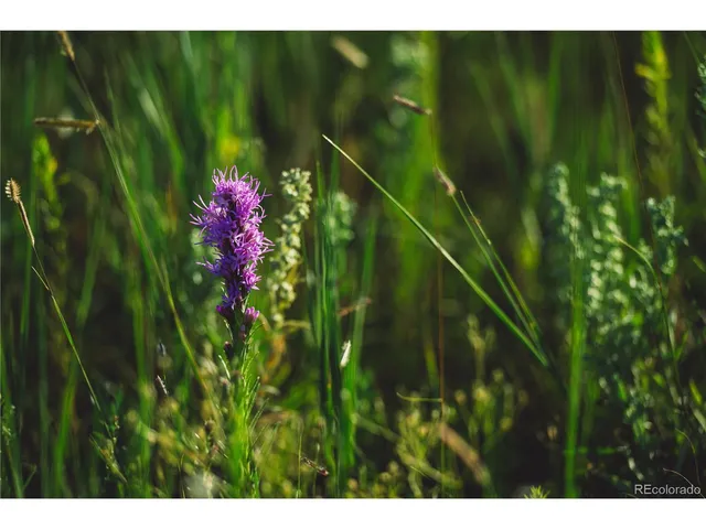 $729,999 | 0 Big Sky Trail, Elbert, CO 80106