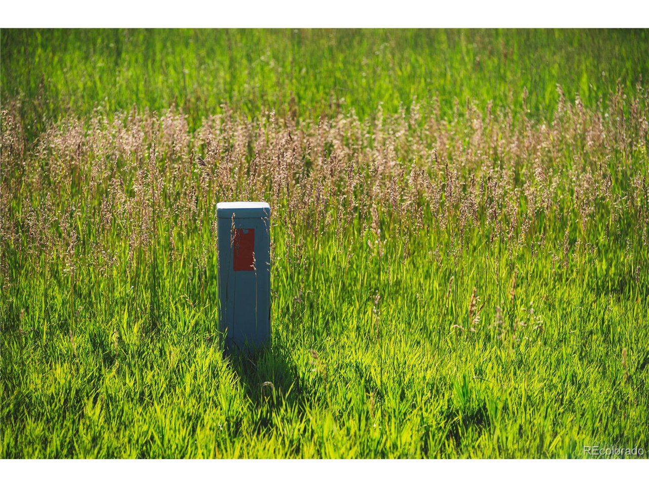 0 Big Sky Trail Elbert, CO 80106 - Photo 28 of 30