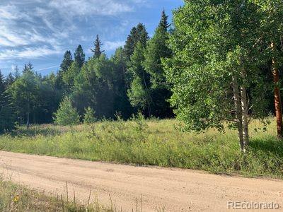 North Fork Road Grant, CO 80448 - Photo 2 of 9 Gallery Image 2