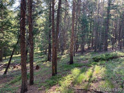 North Fork Road Grant, CO 80448 - Photo 6 of 9 Gallery Image 6