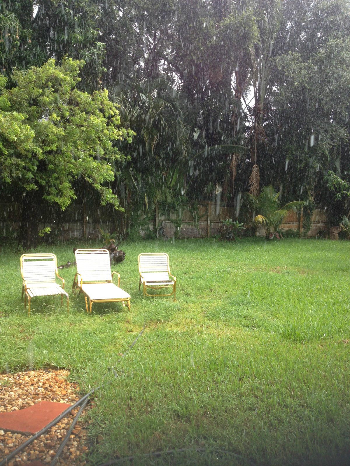 631 Eddy Street Boca Raton, FL 33487 - Photo 2 of 6 backyard