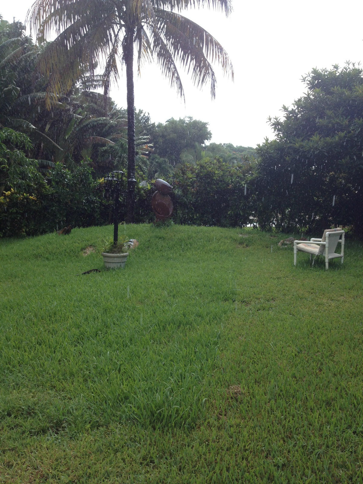631 Eddy Street Boca Raton, FL 33487 - Photo 3 of 6 backyard2