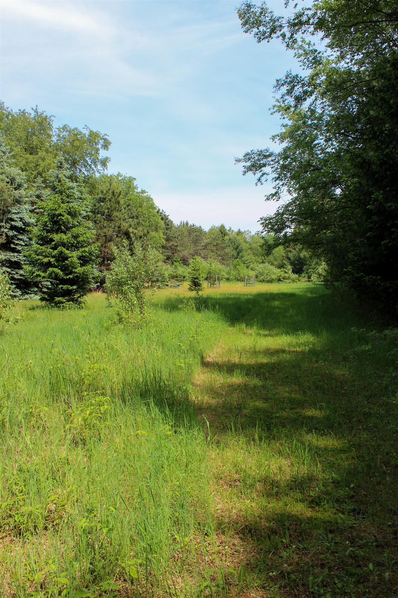 4286 West Jackson Road Alma, MI 48801 - Photo 27 of 78