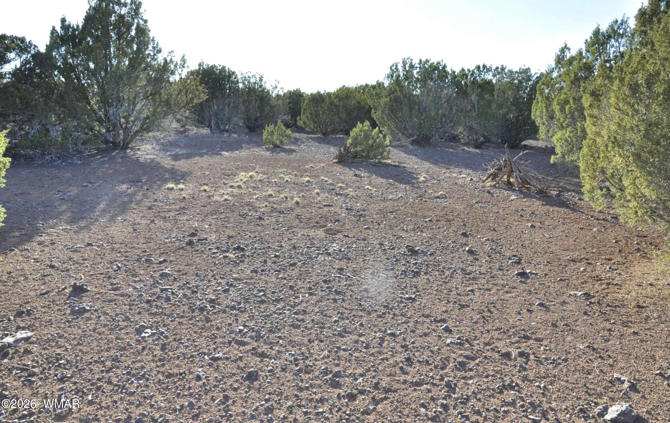 1235 Baha Road Show Low, AZ 85901 - Photo 8 of 10 20251203053137581651000000-o