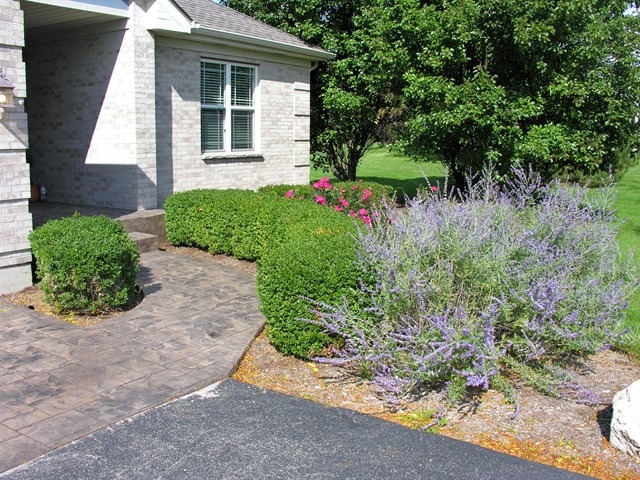 7209 Cornflower Way Spring Grove, IL 60081 - Photo 2 of 25 a front view of a house with a yard and potted plants