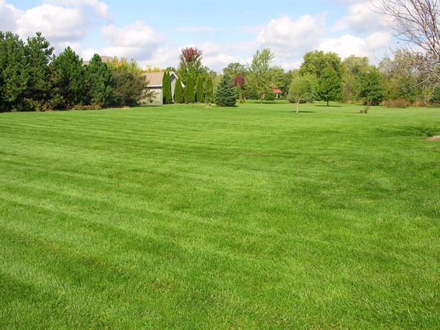 7209 Cornflower Way Spring Grove, IL 60081 - Photo 4 of 25 a view of grassy field with trees