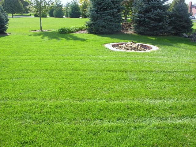 7209 Cornflower Way Spring Grove, IL 60081 - Photo 5 of 25 a view of a wooden fence