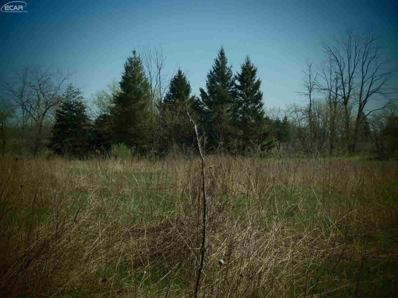 11278 Cook Road Gaines, MI 48436 - Photo 33 of 38