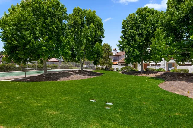 a view of green field