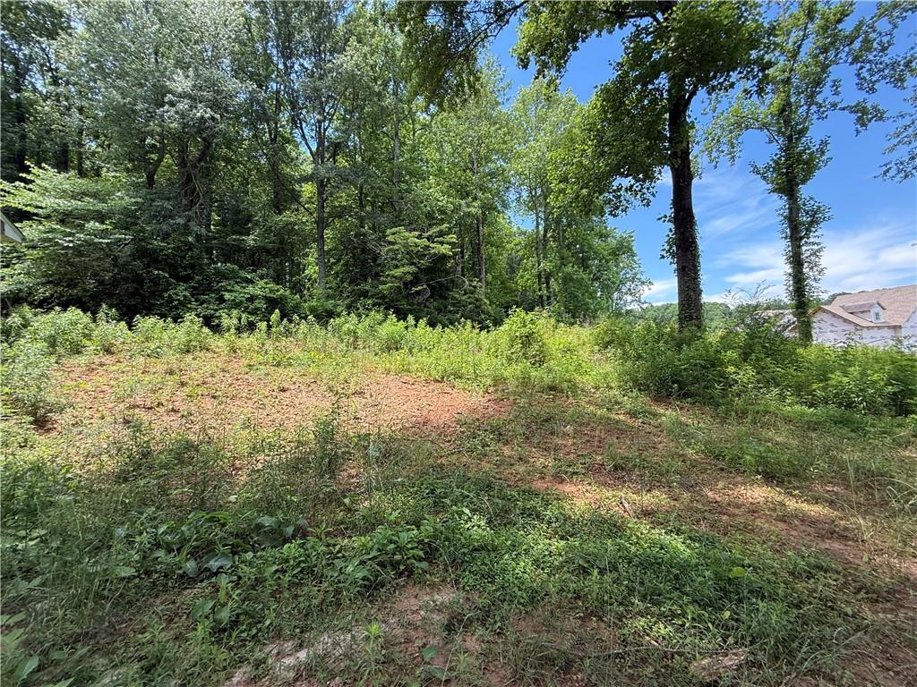 5075 Karr Road Cumming, GA 30040 - Photo 17 of 38 a view of a yard with plants and a large tree