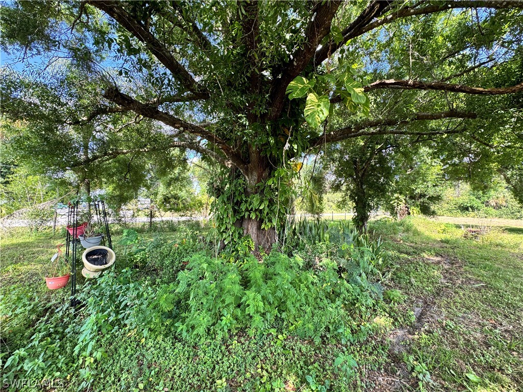 1075 Case Road LaBelle, FL 33935 - Photo 24 of 25 Gallery Image 24