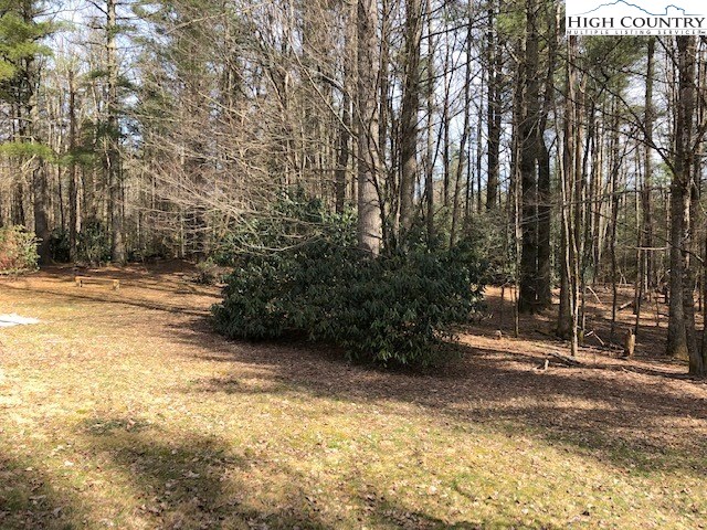 805 Coffey Road Linville, NC 28646 - Photo 4 of 20 Gallery Image 4