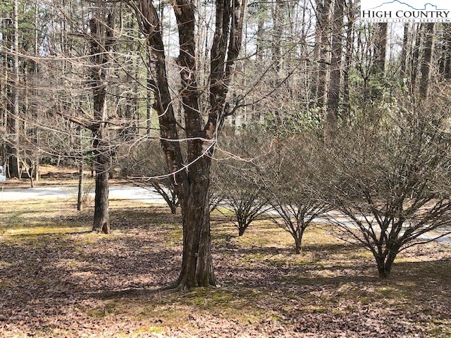 805 Coffey Road Linville, NC 28646 - Photo 5 of 20 Gallery Image 5