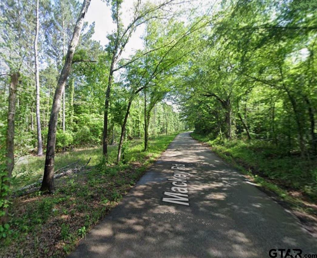13139 Mackey Road Whitehouse, TX 75791 - Photo 2 of 10 a view of a forest with trees in the background