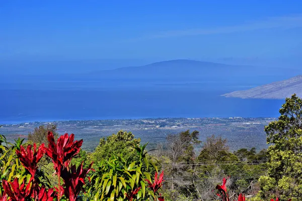 a view of city and ocean