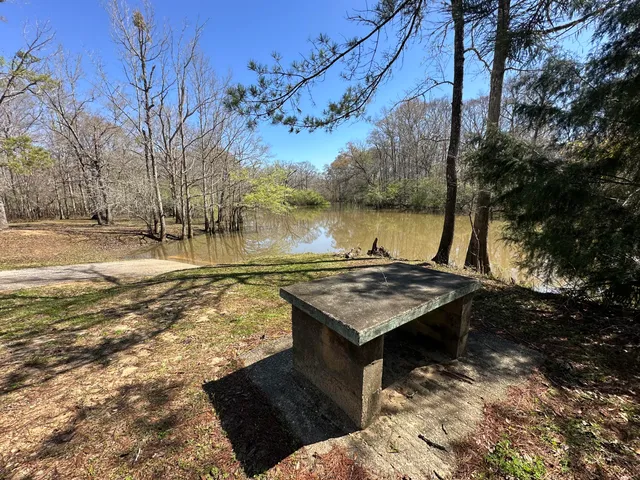 a view of a lake with outside space
