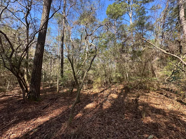 $15,000 | Lot 3 Coon Bottom Estate, Ponce de Leon, FL 32455